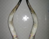 Ý nghĩa phong thủy của sừng trâu