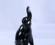 Động Vật Sừng 10