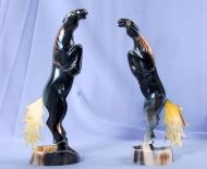 Động Vật Sừng 23