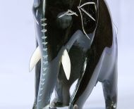 Động Vật Sừng 32