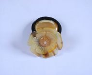 Cột Tóc Sừng 34