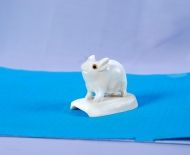 Động Vật Sừng 63