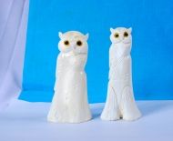 Động Vật Sừng 70