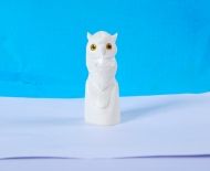 Động Vật Sừng 72