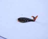 Gác Đũa Sừng 15