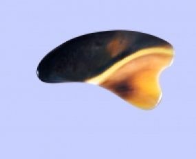 Cạo Gió Sừng Trâu 3