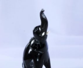 Động Vật Sừng 10