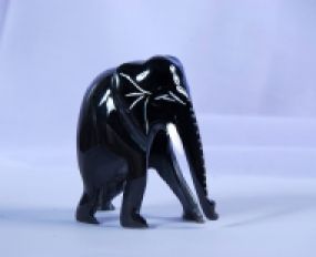 Động Vật Sừng 11