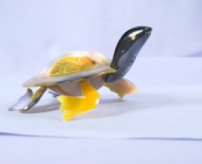 Động Vật Sừng 14