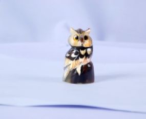 Động Vật Sừng 30