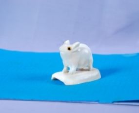 Động Vật Sừng 63