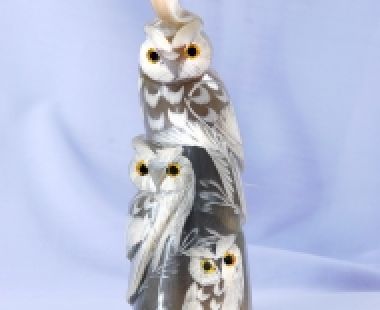 Động Vật Sừng 8