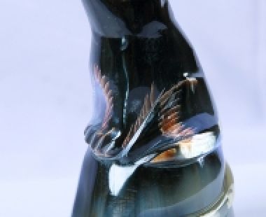 Động Vật Sừng 43