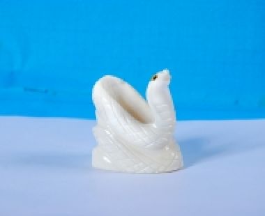 Động Vật Sừng 65