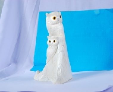 Động Vật Sừng 71