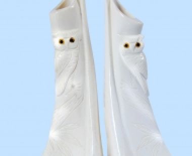 Động Vật Sừng 75